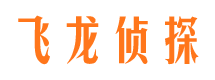 凤冈侦探公司